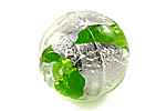 Acacia